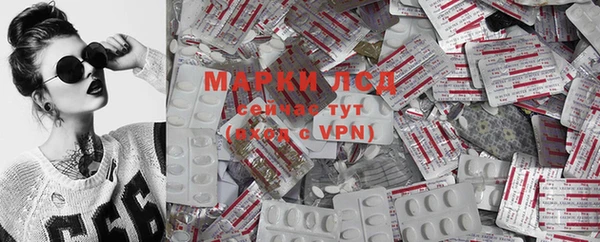 ПСИЛОЦИБИНОВЫЕ ГРИБЫ Балахна