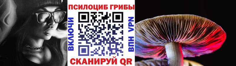 Галлюциногенные грибы ЛСД  как найти   Зима 